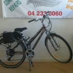 Lynn’s bike