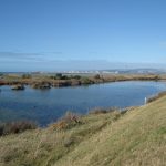 Clive East wetland Photo by Lynn