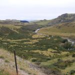 Taieri River looking North