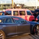 Squirrel hiding behind a Tesla, waiting to board the Bluebridge Ferry