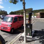 Squirrel at Palmerston