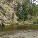 Taieri River at Daisy Bank