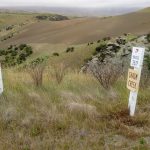 View down to Clutha from SH8