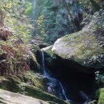 Waterfall walk at Smith’s Farm